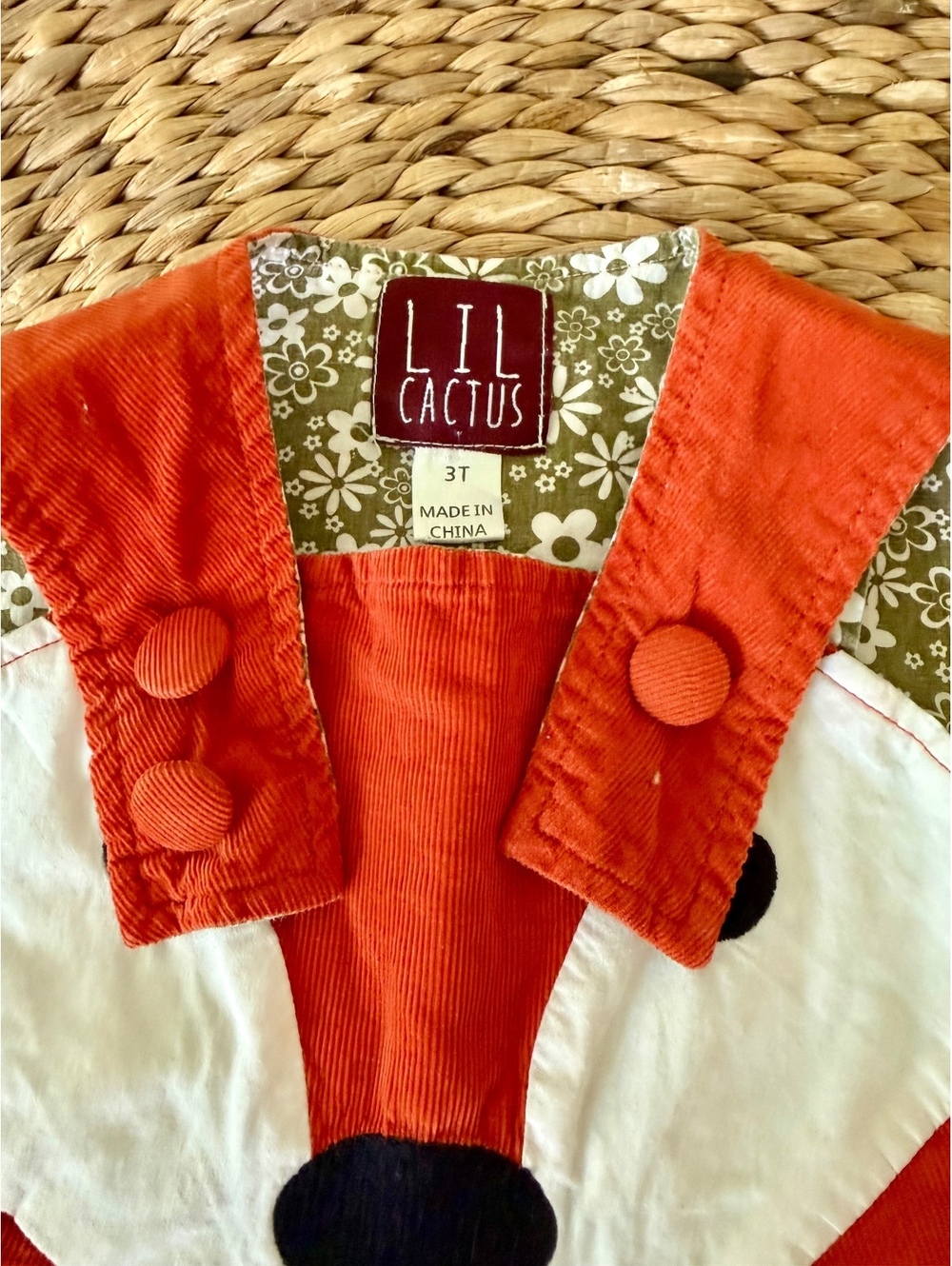Lil Cactus Fox Corduroy Jumper Sz 3T EUC - Picture 7 of 8